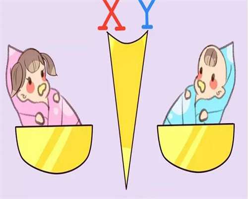 不孕不育检查