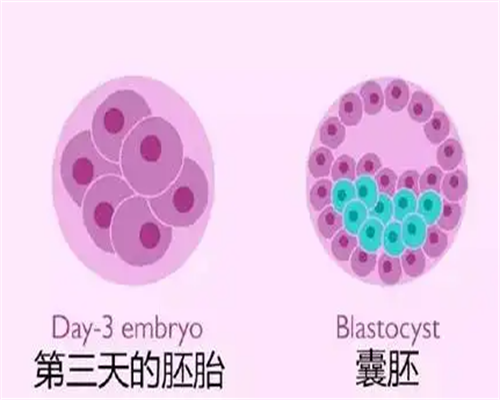 不孕不育检查流程