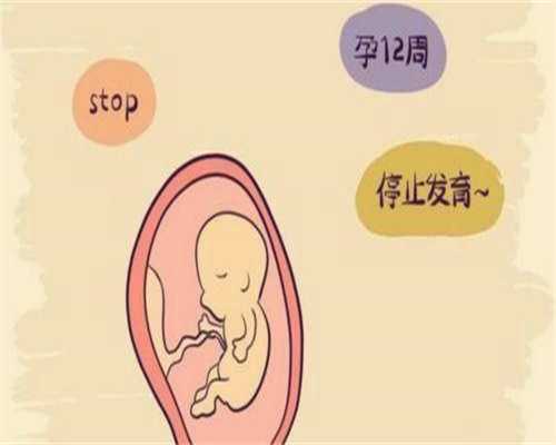 睾丸发育不良不育