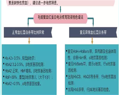 高龄备孕不孕
